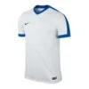 Nike Trikot Striker IV Kurzarm