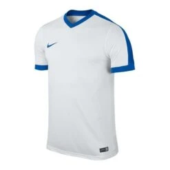 Nike Trikot Striker IV Kurzarm