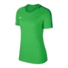 Nike Academy 18 Football T-Shirt Damen -shop.fupa.net shop 10094385 nike academy 18 football t shirt damen gruen