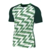 Nike Naija Trikot Kurzarm Grün Weiss F302 -shop.fupa.net shop 10126373 nike naija trikot kurzarm gruen weiss f302