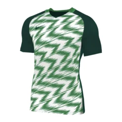Nike Naija Trikot Kurzarm Grün Weiss F302