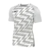 Nike Naija Trikot Kurzarm Kids Weiss Grau F100 -shop.fupa.net shop 10126381 nike naija trikot kurzarm kids weiss grau f100
