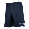 Nike Academy 21 Short