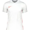 Nike Dry GX1 Trikot Weiss F102 -shop.fupa.net shop 10212360 nike dry gx1 trikot weiss f102
