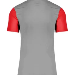 Nike Trophy 5 Trikot Grau F052 -shop.fupa.net shop 10254279 nike trophy 5 trikot grau f052 1