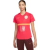 Nike Niederlande Academy Pro T-Shirt Damen