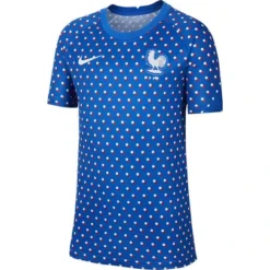 Nike Frankreich Prematch T-Shirt