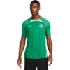 Nike Nigeria Strike Top -shop.fupa.net shop 128735 1