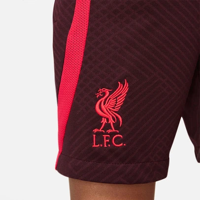 Nike Liverpool Strike Short Kinder 2022-2023 8 Nike Liverpool Strike Short Kinder 2022-2023 – Bild 6