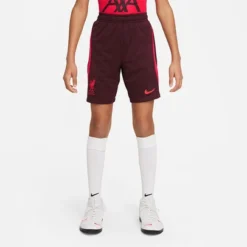 Nike Liverpool Strike Short Kinder 2022-2023 17 Nike Liverpool Strike Short Kinder 2022-2023 -shop.fupa.net shop 129384 8