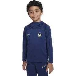 Nike Frankreich Academy Pro Hoodie Kleine Kinder