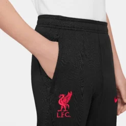 Nike Liverpool Strike Hose Kinder 2022-2023 -shop.fupa.net shop 129895 3