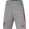 Nike Liverpool Strike Short Kinder 2022/2023 -shop.fupa.net shop 158673 10