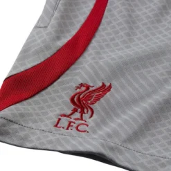 Nike Liverpool Strike Short Kinder 2022/2023 -shop.fupa.net shop 158673 12 1