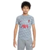 Nike Liverpool Prematch Top Kinder 2022/2023 -shop.fupa.net shop 158683 1