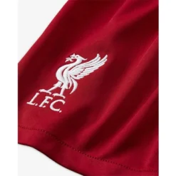 Nike Liverpool Heimshort Kinder 2023/2024 -shop.fupa.net shop 160899 3