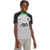 Nike Liverpool Strike Top Kinder 2023/2024 -shop.fupa.net shop 160921 1